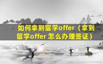 如何拿到留学offer（拿到留学offer 怎么办理签证）